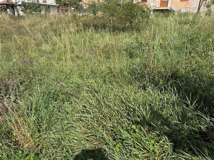 Casa individuala cu 2 camere si 495 mp teren in Sura Mare - 10