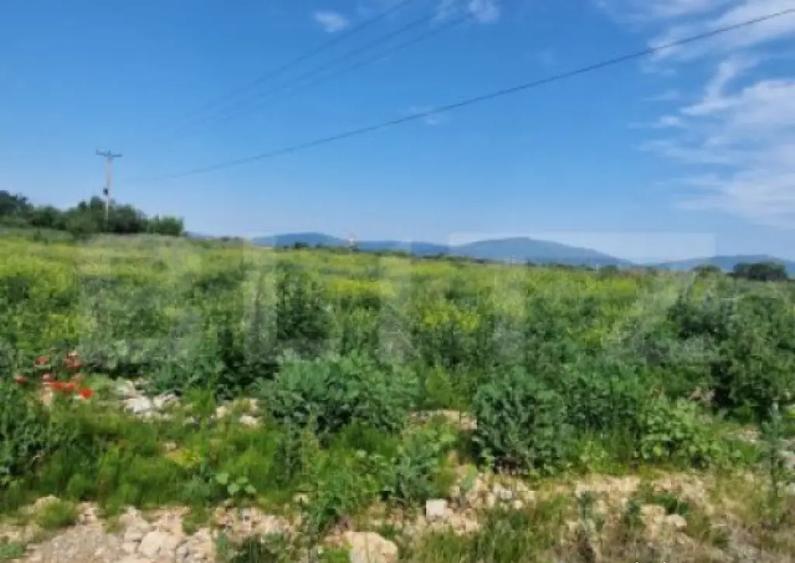 Teren extravilan, 1203 mp pretabil pentru investitie ,casa p - 3