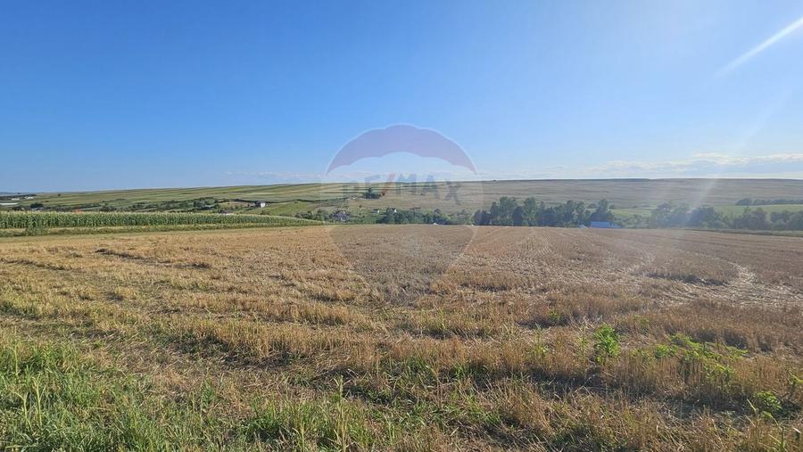 Teren Construcții intravilan de 7500 mp, în Moara Carp