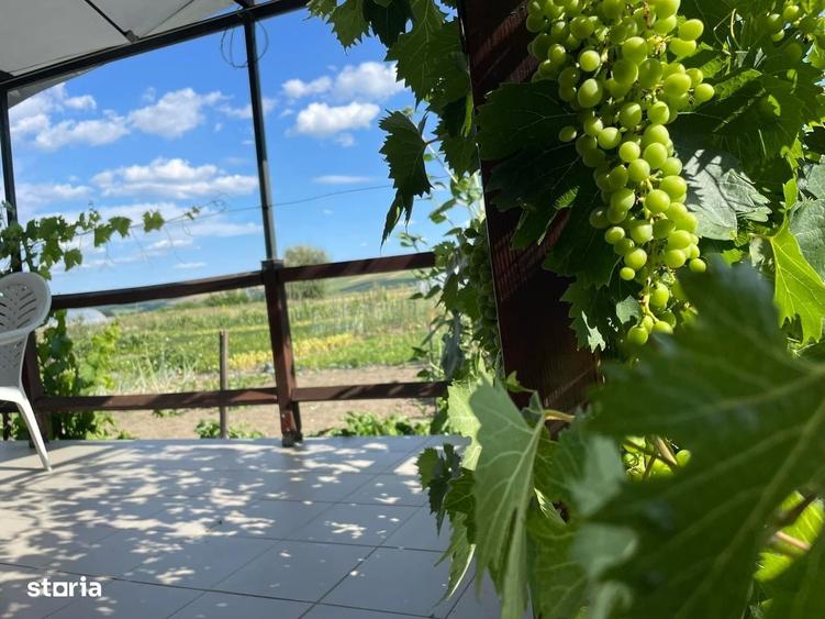 Casă cu 4 camere în Crăciunești