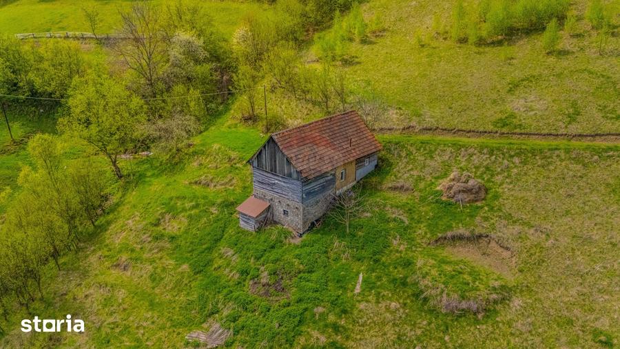 Teren de 18537 mp, în Poiana Mărului