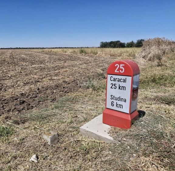 Teren Agricol Arabil 15 HA | BRastavatu, JUD. OLT