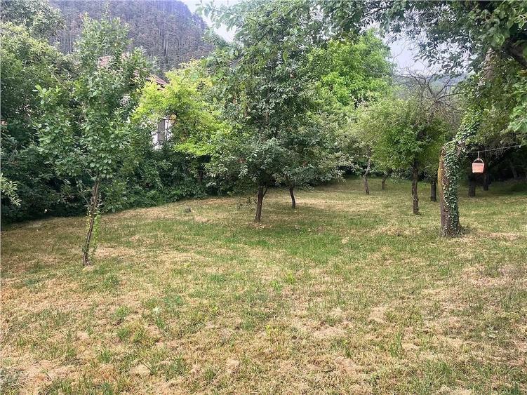 Casă cu 5 camere cu Teren 1590 Mp în Schei
