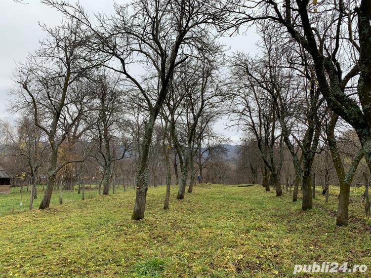 Teren de 1500 mp, în Corbi