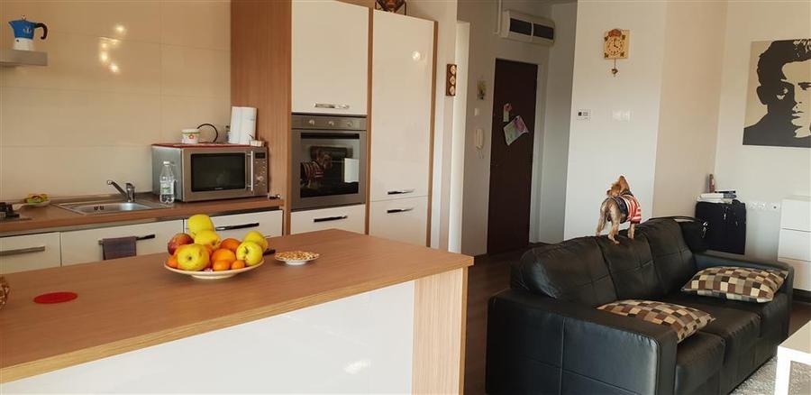Apartament cu 2 camere decomandat, mobilat în Albert