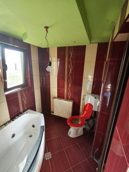 Casă cu 3 camere cu Teren 5000 Mp în Valea Crișului