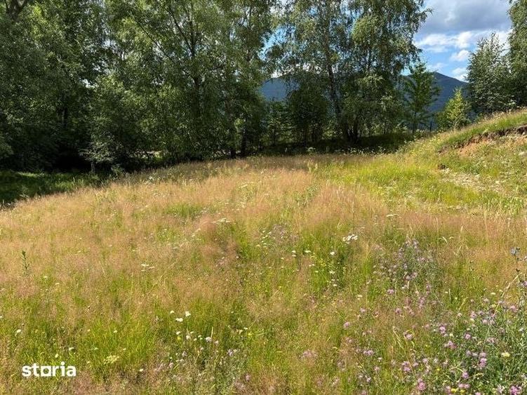 Teren de 4000 mp, în Central