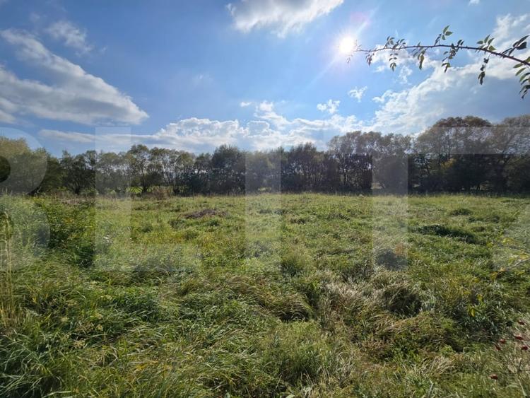 Teren agricol intravilan de 1200 mp, în Sălicea