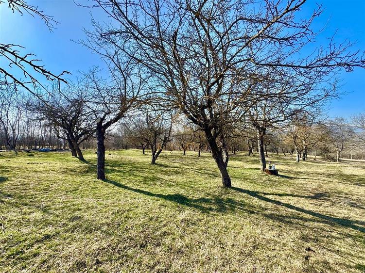Casa + teren de vanzare in Campulung | Ideala locuinta sau casa de vacanta - 16