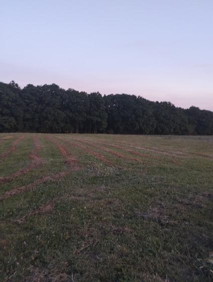 Teren extravilan 6200 mp - 1