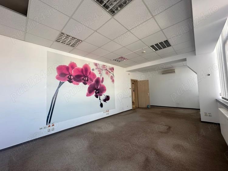 Theodor Pallady stradal birou 410 mp utili LIBER - 19