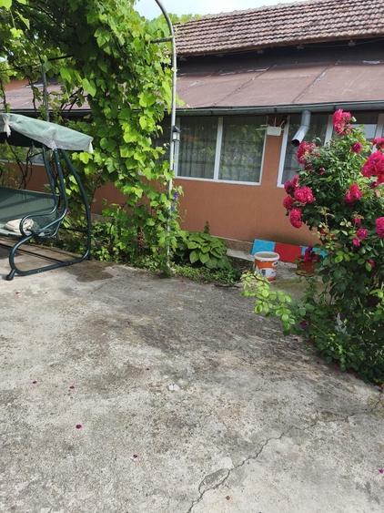 Vand sau schimb cu apartament, casa cu gradina - 3