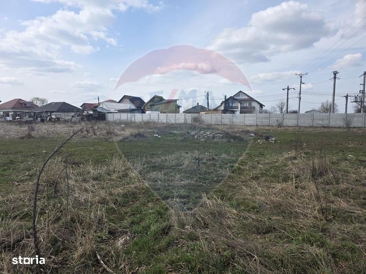 Loturi teren 500 /1000 mp Dumbraveni Balotesti utilitati - 3