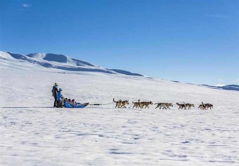 Teren cu Certificat Urbanism - 28