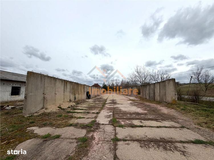 HALE INDUSTRIALE | CLADIRE BIROURI | TEREN 7000 MP | GHEGHIE BIHOR - 3