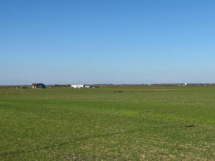 Teren Intravilan Branesti 4500mp Acces Asfalt si A2-deschidere 22ml - 8