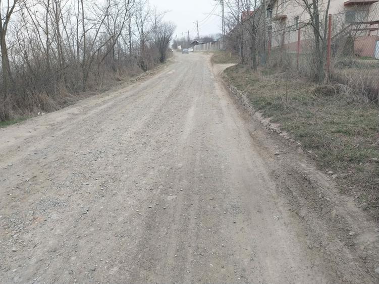 Casa individuala 180 mp zona Viticultori - 4