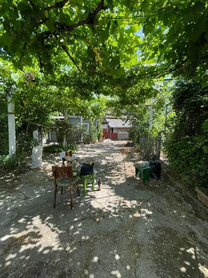 Casa de vanzare - Husasau de Tinca, judetul Bihor - 5