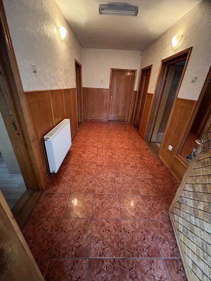 Casa de familie/vacanta + Spatii comerciale DE VANZARE - 3