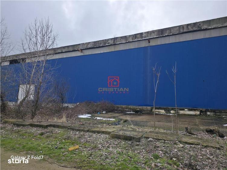 Vanzare spatiu industrialhaladepozit Giurgiu - Port, Giurgiu - 4