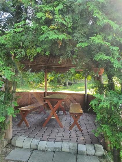 Teren si casa de vacanta ecologica in Stancesti - 4