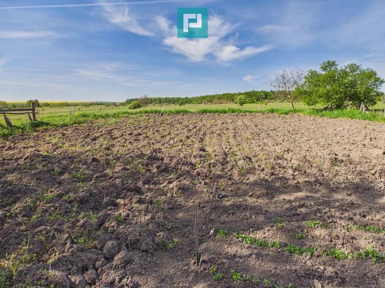 Casă retrasă Pișchia – 4 camere, teren 920 mp - 22