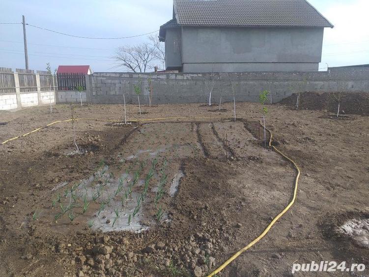 Vinzare teren intravilan - 1
