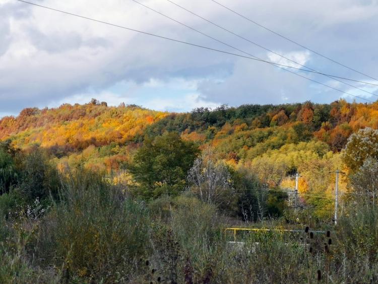 Curte 3025mp , Bughea de Jos, 5 min Valeni PH - 8