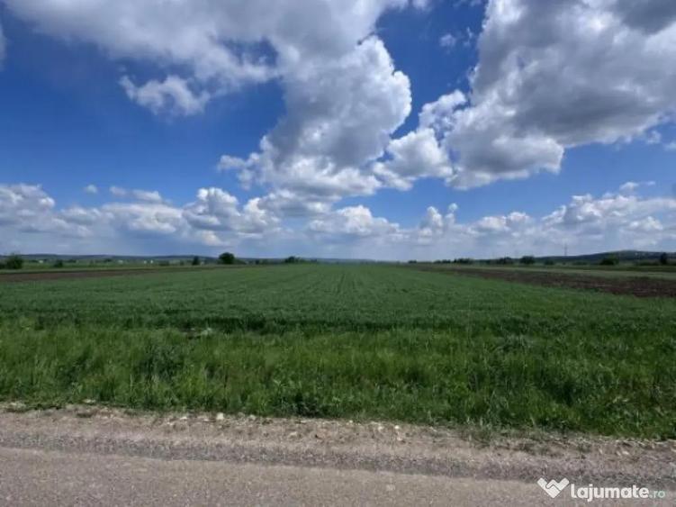 Teren extravilan, 1 hectar, Volovat - 4