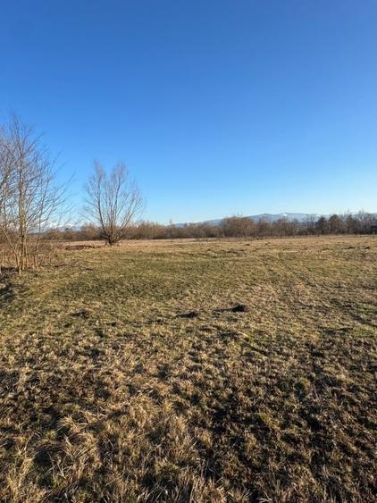 Oază de liniște cu vedere la munți – 2.600 mp lângă Aeroportul Sibiu (Cristian) - 2