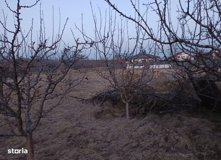 Teren intravilan Miroslava , 600 metri Cod:161312 - 4