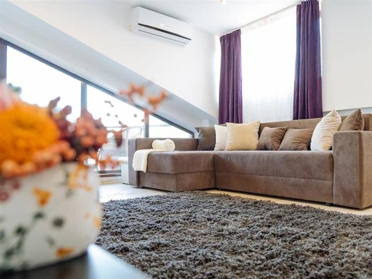 Penthouse 2 camere, inchiriere lunga durata, Herastrau - 1