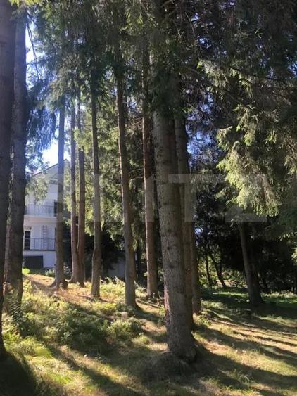 Afacere la cheie! Vila clasificata, 5 camere, 300 mp, teren 1600 mp - 2