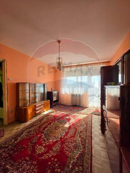 Apartament doua camere Gura Campului Medias - 10