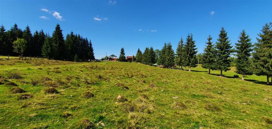 Oportunitare | Teren 1350 mp cu PUZ | Belis - 7