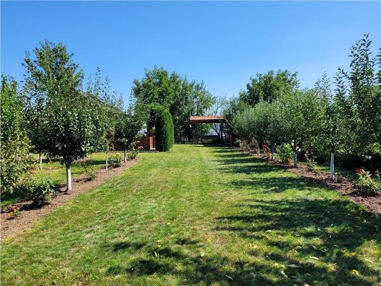 Refugiu de Weekend la 10 Minute de Targu Mures - 2