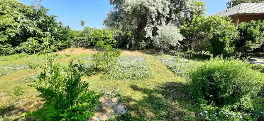 Case + teren 3000mp. de vanzare - 3