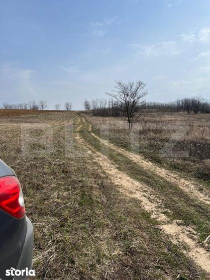 Teren intravilan de vanzare, 9783 mp, Paleu zona Iacului - 1