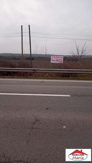 Teren extravilan 3,56 hectare in Dorolt ( ID 22873) - 2