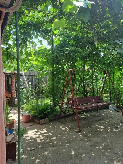 Casa parter , Bariera Valcii , 816 mp teren - 12