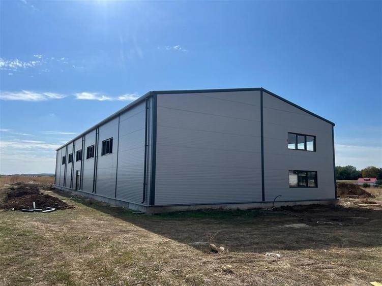 Vanzare Hala Noua Dascalu, plus teren - 7