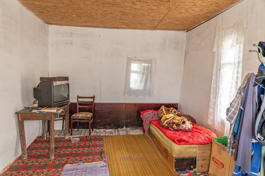 Casa in Ardeoani, 1.3ha teren - 15