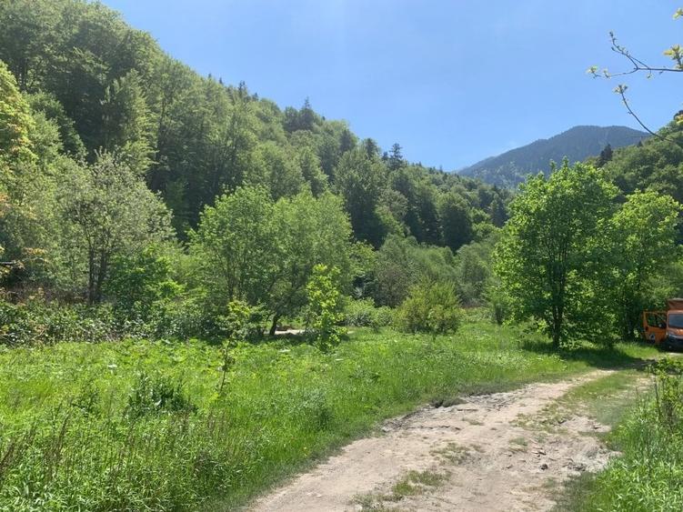 Teren de vanzare DN1. - 3