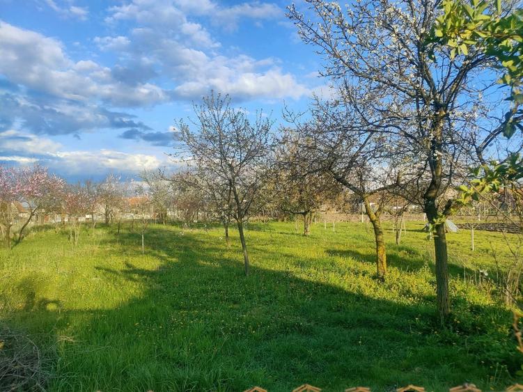 Vand casa cu gradina - 4