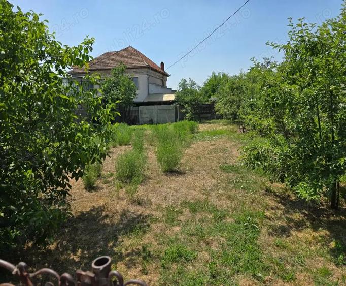 Vand teren intravilan in centrul Orasului Buzias strada Republicii cu toate utilitatile - 3