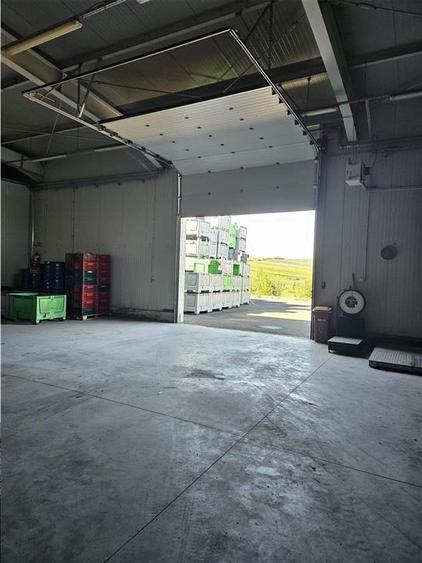 Spatii Frigorifice - 2000 mp - Depozitare - Refrigerare - 13