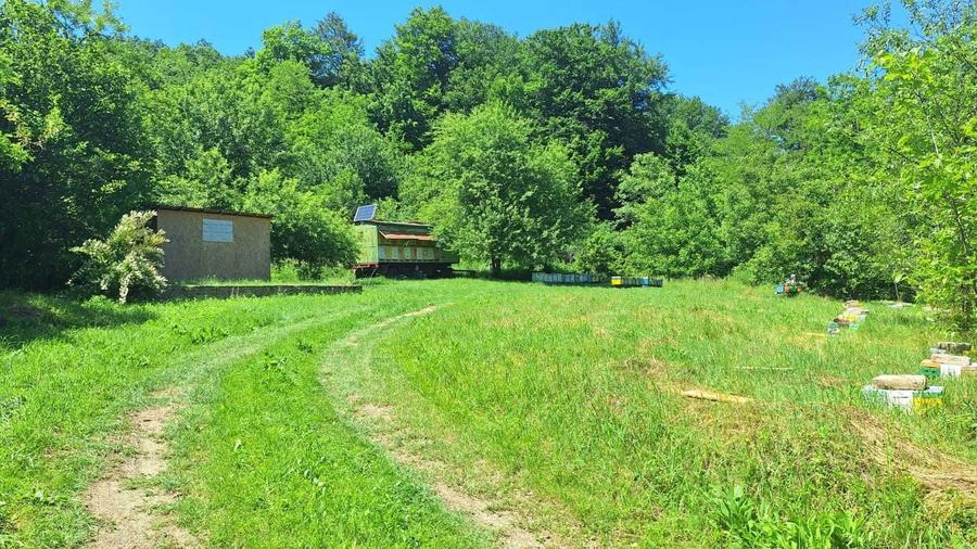 Gradina pe Valea Barzavii - 2