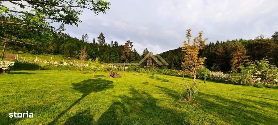 Teren cu PUZ - Tabara de Vacanta + Constructie Tiny Hous | 10 Cabane - 7