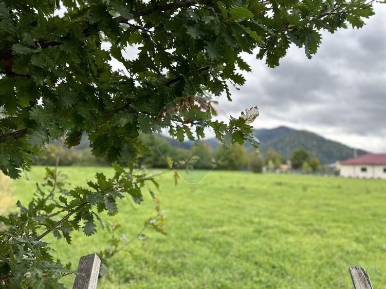 Teren 1,023mp Vadurele (Alexandru cel Bun) / Strada Stejarilor - 2