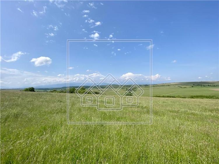 Teren agricol extravilan de 17200 mp, în Daia